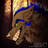 Benutzeravatar