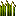 :tallgrass: